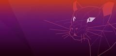 Linux Unbuntu - Focal Fossa